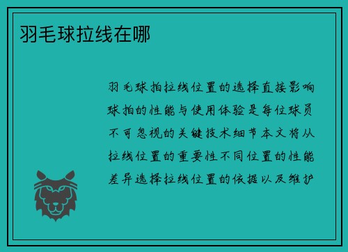 羽毛球拉线在哪