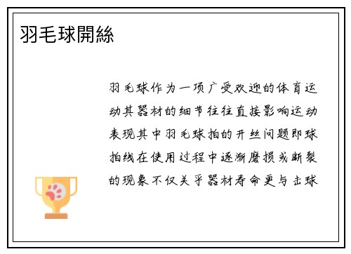 羽毛球開絲